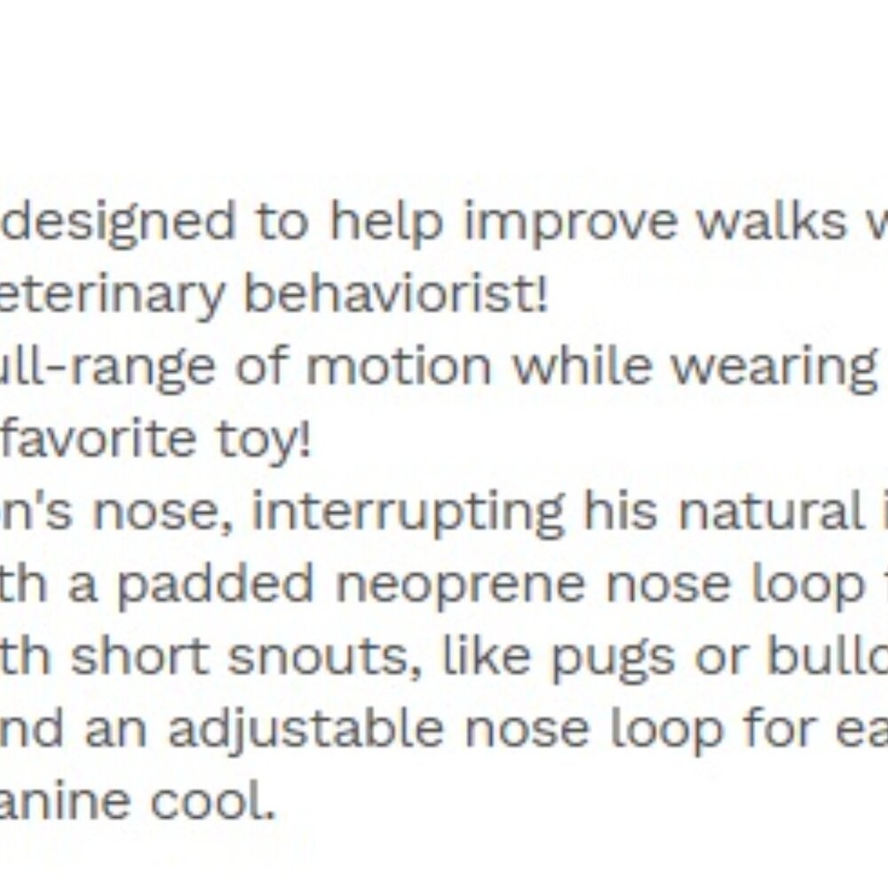 PetSafe Gentle Leader Headcollar - Black - Small Up to 25 lbs (E) - Picture 2 of 3